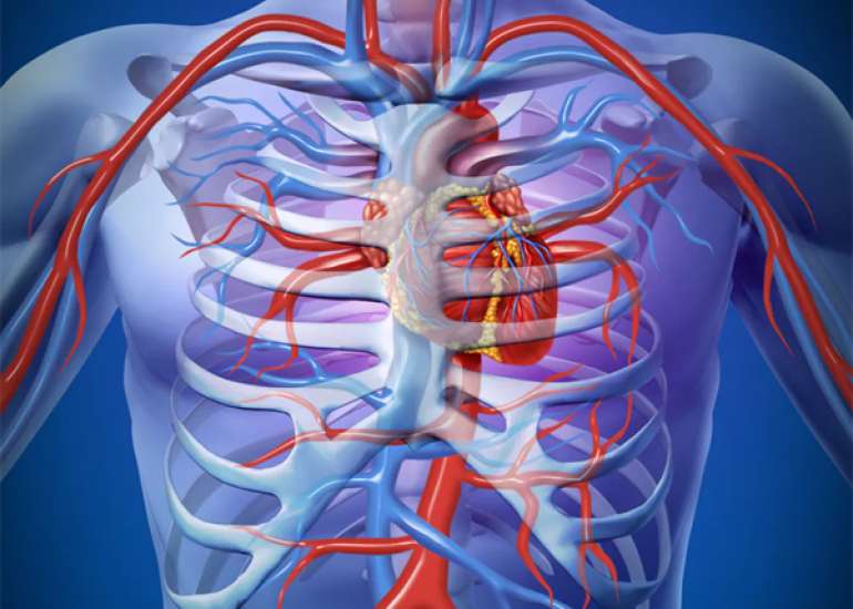 When should we discharge the patient after primary PCI?