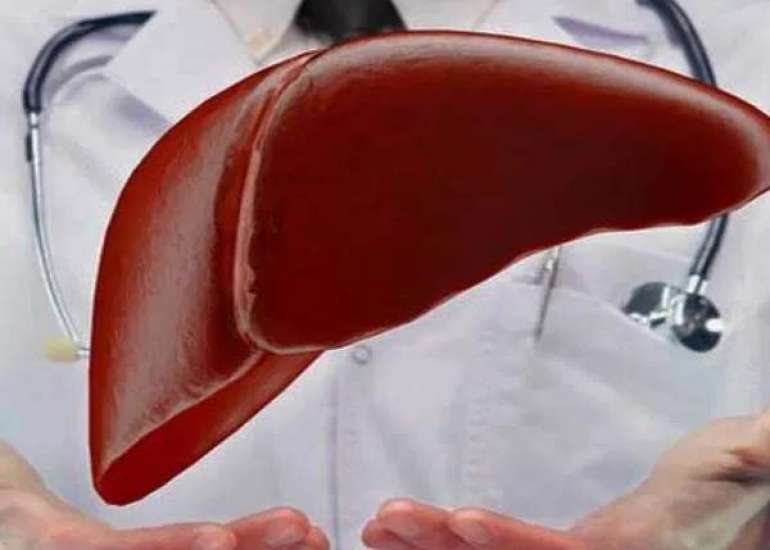 एक्यूट लिवर फेलियर क्या है? कारण, लक्षण और इलाज | What is Acute Liver Failure in Hindi