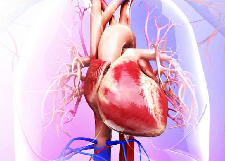 ईसीएमओ क्या है? | What is ECMO in Hindi