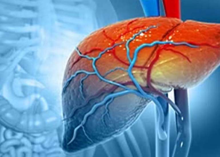 हेपेटाइटिस बी क्या है? कारण, लक्षण और इलाज | What is Hepatitis B in Hindi