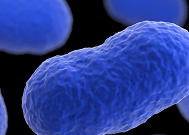 लिस्टेरियोसिस क्या है? कारण, लक्षण और इलाज | What is Listeriosis in Hindi