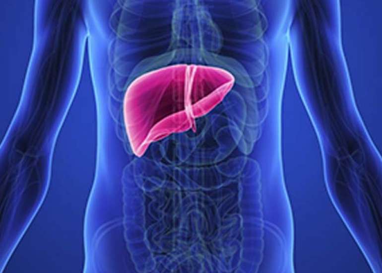 लीवर फेलियर क्या है? कारण, लक्षण और इलाज | What is liver failure in Hindi