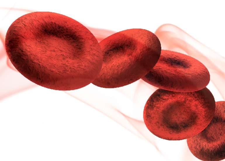 मैक्रोसाइटोसिस क्या है? कारण, लक्षण और इलाज | What is Macrocytosis in Hindi