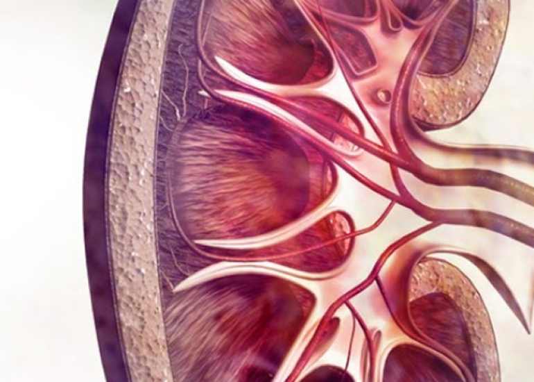 नागर सिंड्रोम क्या है? कारण, लक्षण और इलाज | What is Nagar Syndrome in Hindi