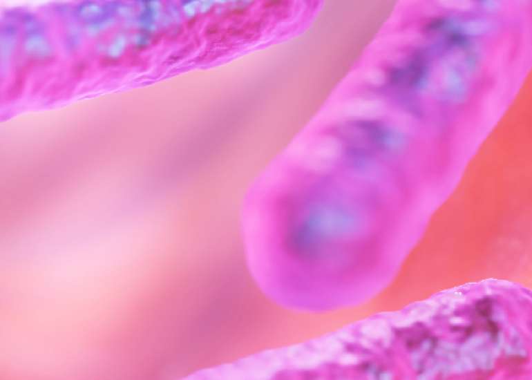 प्लेग क्या है? कारण, लक्षण और इलाज | What is Plague in Hindi