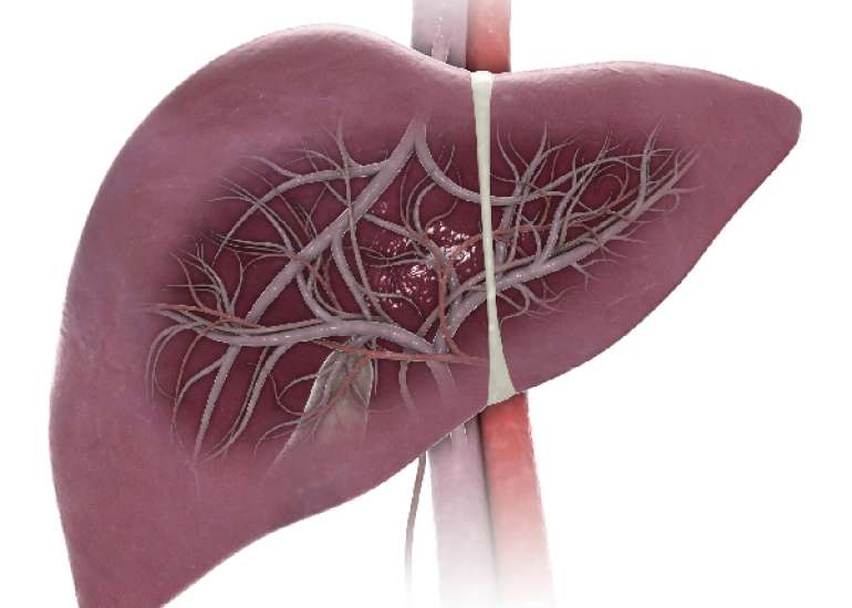 SGPT और SGOT लेवल क्या है? | What is SGPT and SGOT level in Hindi