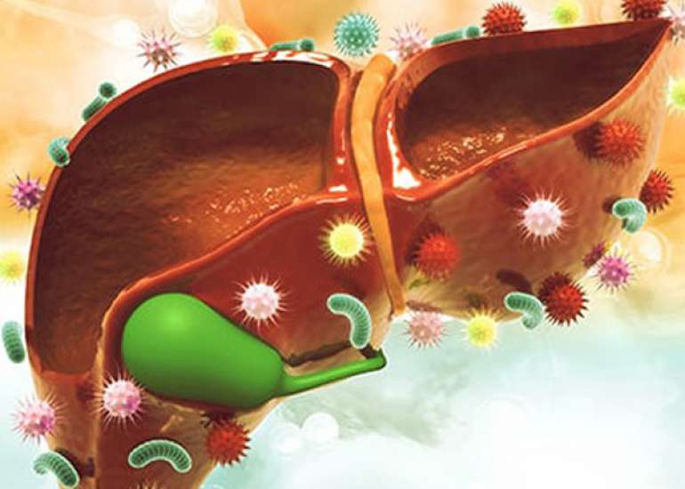 वायरल हेपेटाइटिस क्या है? कारण, लक्षण और इलाज | What is Viral Hepatitis in Hindi