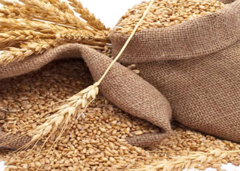 गेहूं की एलर्जी क्या है? कारण, लक्षण और इलाज | What is Wheat Allergy in Hindi