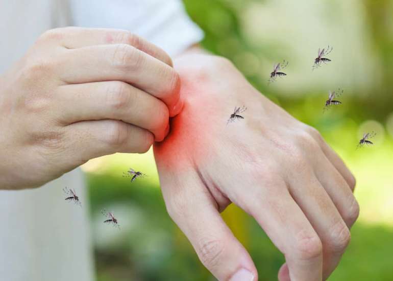 जीका वायरस क्या है? कारण, लक्षण और इलाज| Zika Virus in Hindi