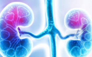 Image Kidney Transplant: All You Need To Know