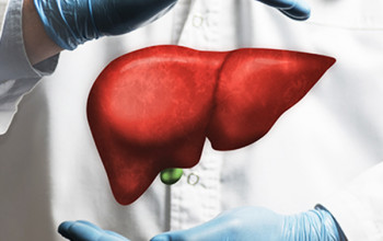 Nutrition In Liver Care For Geriatric Care