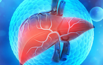 Image Pathogenesis of Hepatitis