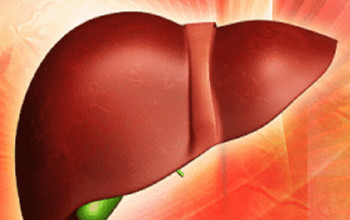 Image Liver Function Test Results explained