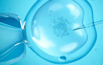 Image What are various IVF techniques?