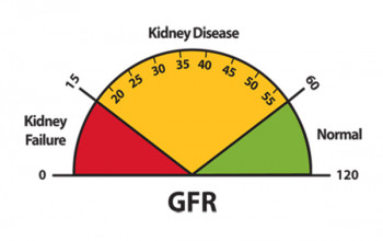 Image What is eGFR  Blood Test ? 