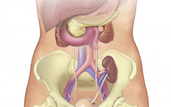 Image When should we send the patient for kidney transplant?