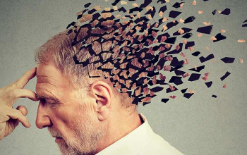 Image अल्जाइमर रोग क्या है? विस्तार से जाने | Alzheimer's  Disease in Hindi