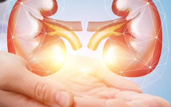 Image What is the difference between mild & moderate renal disease?