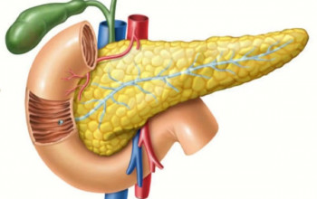 Image अग्नाशय में सूजन यानि अग्नाशयशोथ कितनी गंभीर? लक्षण, कारण और इलाज  | Pancreatic Diseases in Hindi