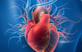 CSI Plans To Introduce Digital Assistance For Heart Patients