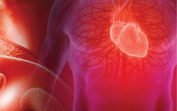 Image How should we check for arterial elasticity and stiffness?