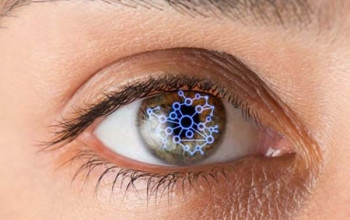 Image रेटिना रोग क्या है? प्रकार, लक्षण और इलाज | Retina in Hindi