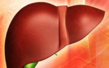 Image Liver Health in Menarche & Effect of Hormones