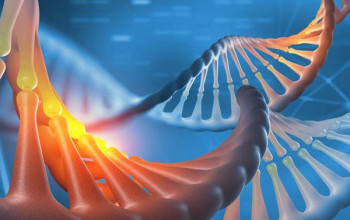 Image What is the role of genomics in breast cancer?