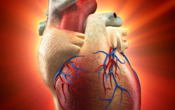Image दिल की सूजन क्या है? कारण, लक्षण और इलाज | Heart Inflammation in Hindi