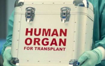 Image भारत में अंग दान और प्रत्यारोपण | Organ Donation 