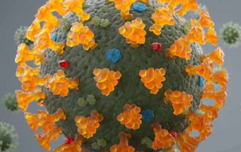 Image New Coronavirus Variant - IHU 