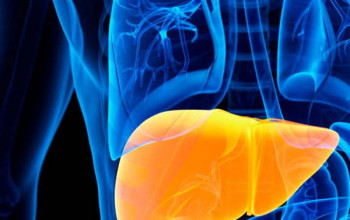 Impact of Fatty Liver Disease on Cardiovascular Health: Understanding the Connection
