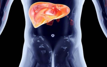 Image Liver Inflammation: Causes, Complications and Treatment Approaches