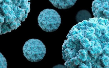 Image क्या है नोरोवायरस? कारण, लक्षण और इलाज | Norovirus in Hindi