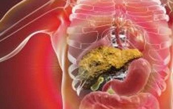 Understanding Liver Function: The Vital Organ in Your Body