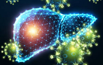 Image Viral Hepatitis: Types, Transmission, and Prevention