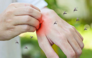 जीका वायरस क्या है? कारण, लक्षण और इलाज| Zika Virus in Hindi