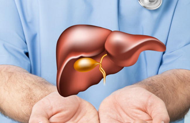 Image Role of Insulin Resistance in Liver Care