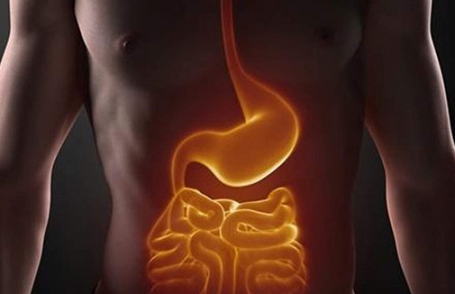 Image पाचन तंत्र से जुड़े विकारों के बारे में जाने | Digestive System in Hindi