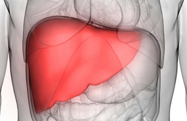 Image हृदय स्वास्थ्य पर फैटी लिवर रोग का क्या प्रभाव पड़ता है? | What Effect does Fatty Liver Disease have on Heart Health in H