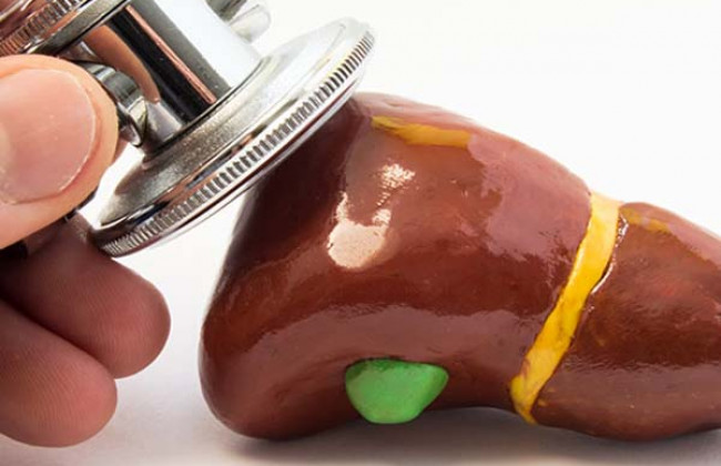 Image बाल चिकित्सा ऑटोइम्यून हेपेटाइटिस क्या है? कारण, लक्षण और इलाज | What is Pediatric Autoimmune Hepatitis in Hindi