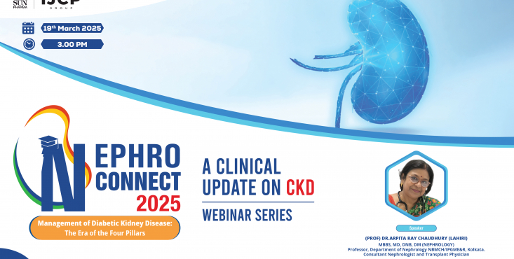 Management of Diabetic Kidney Disease: The Era of the Four Pillars