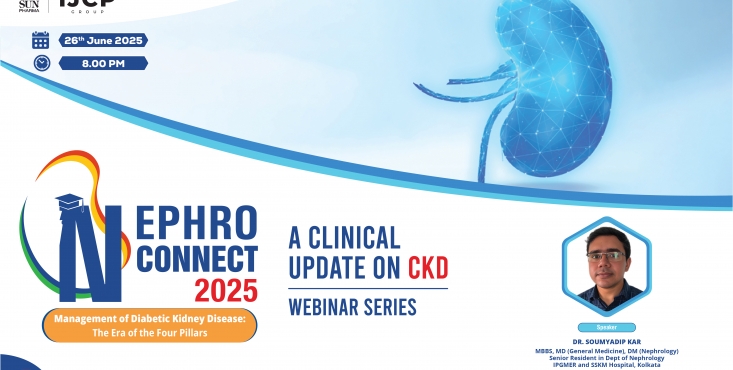 Management of Diabetic Kidney Disease: the Era of Four Pillars