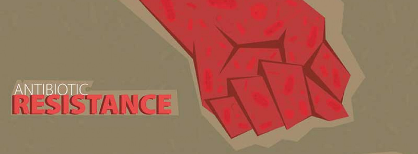 Antibiotic Resistance