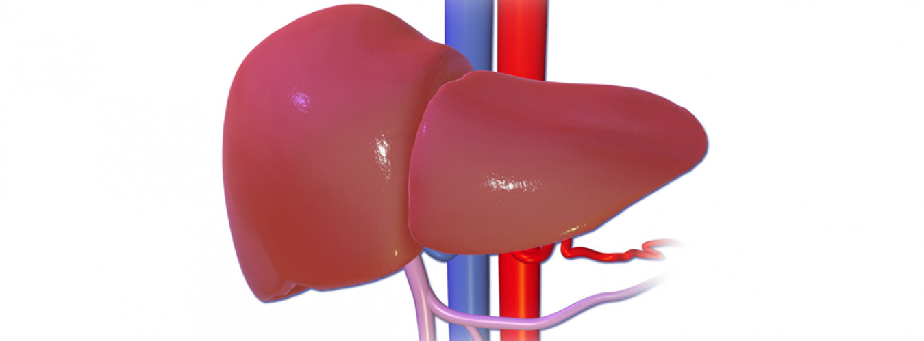 Evaluation of Liver Function Tests