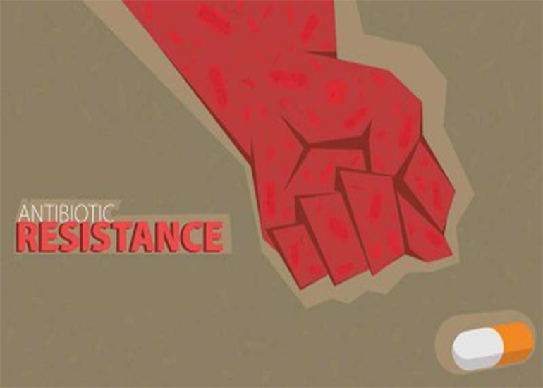 Antibiotic Resistance