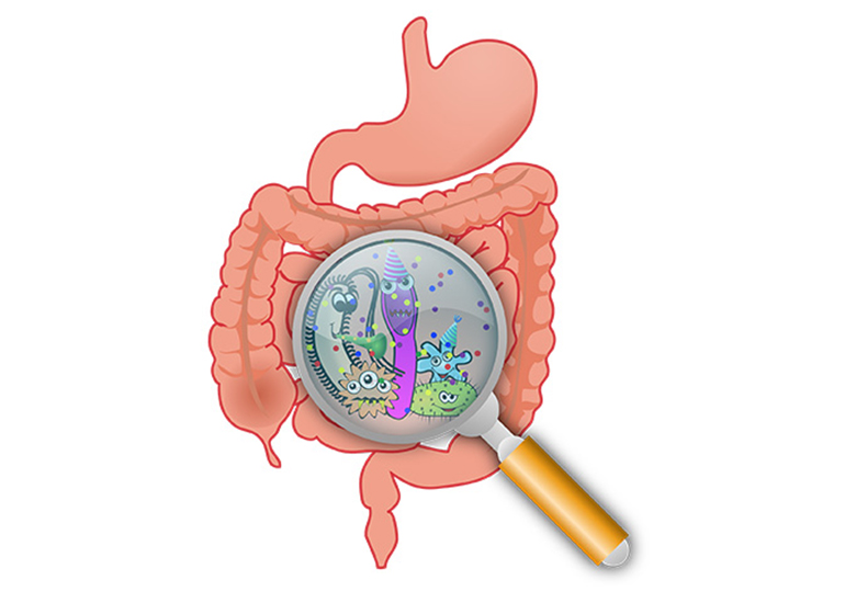 Probiotics Beyond Gut