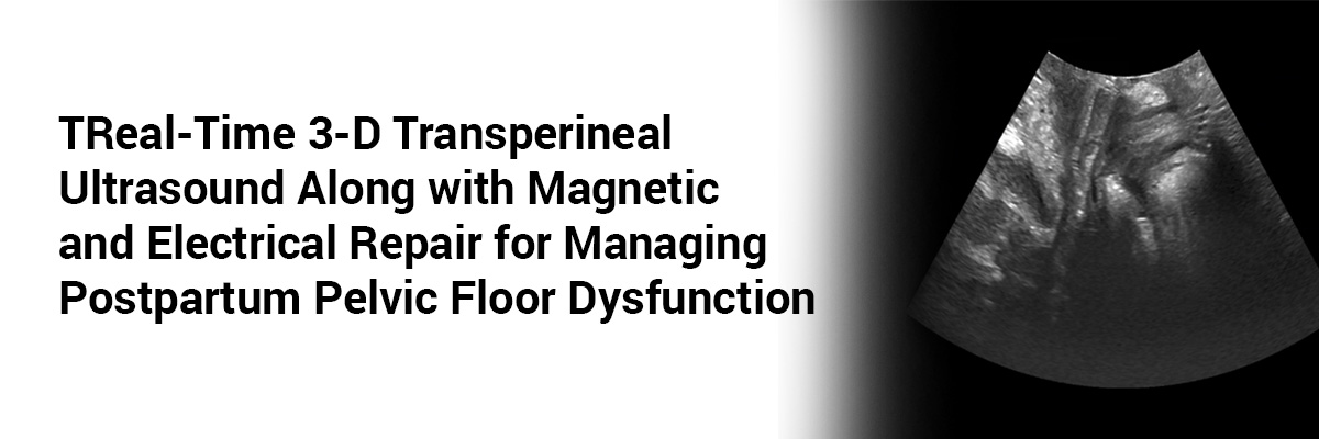 TReal-Time 3-D Transperineal Ultrasound along with Magnetic and Electrical Repair for managing Postpartum Pelvic Floor Dysfunction