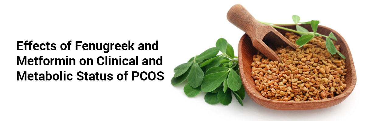 Effects of Fenugreek and Metformin on Clinical and Metabolic Status of PCOS