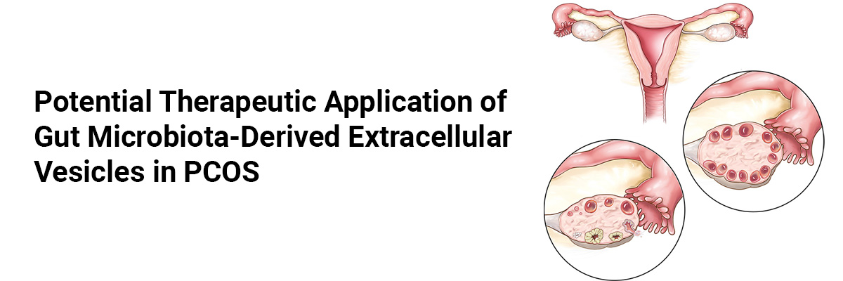 Potential therapeutic application of gut microbiota-derived extracellular vesicles in PCOS